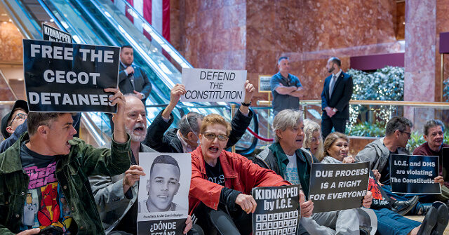 Report: Dozens of Anti-ICE Protesters Busted at Trump Tower in NYC