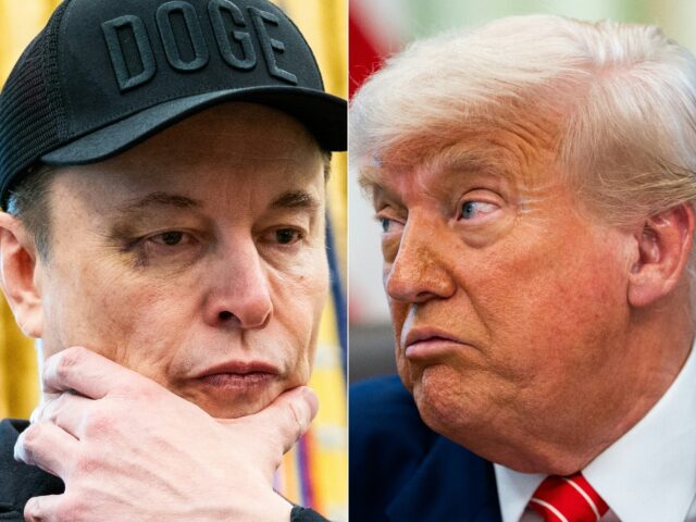 Elon Musk (left) and US President Donald Trump have been fighting an increasingly bitter p