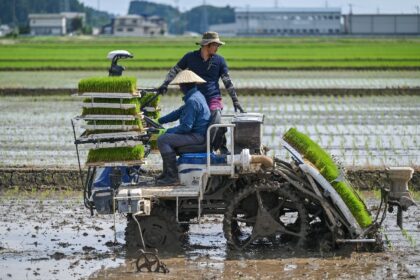 Farmers use a transplanter to plant rice seedlings at a farm in the town of Sanjo, Niigata