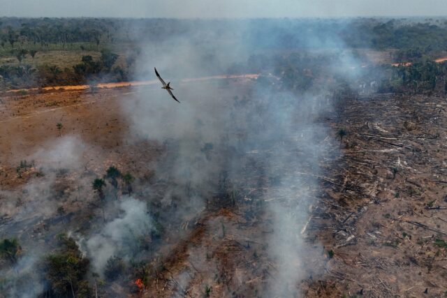 Illegal burning of the Amazon rainforest near Humaita, in the northern Brazilian state of
