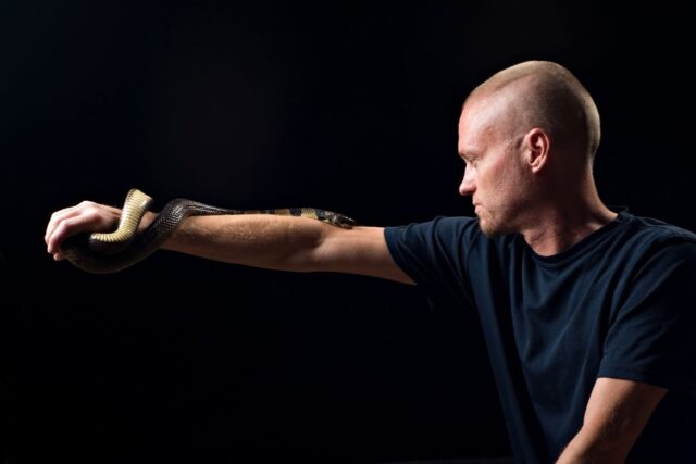 Tim Friede has allowed himself to be bitten by snakes more than 200 times