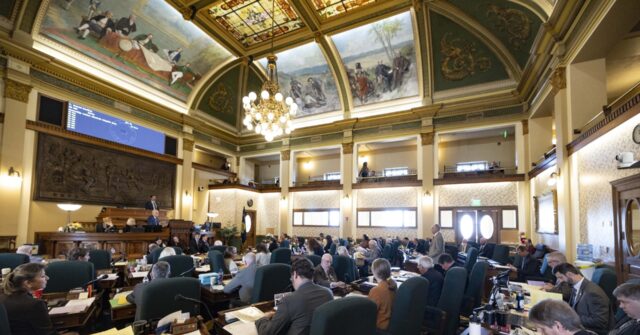 Montana Supreme Court Strikes Down 2021 Abortion Restrictions Citing State Privacy Rights