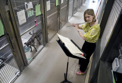 The Associated Press