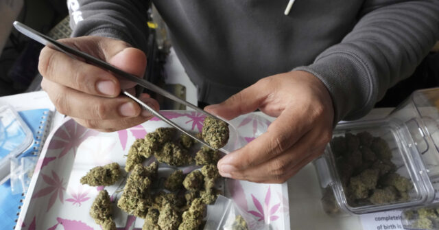 Thailand Enforces Medical-Only Cannabis Sales Amid Market Disruption