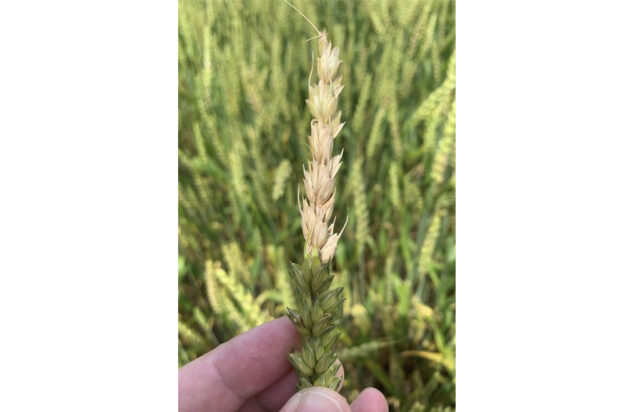 The Associated Press