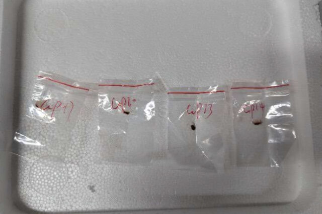 The Associated Press