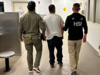 ICE: MS-13 Kingpin on El Salvador’s ‘Top 100 Most Wanted’ List Found Hiding in Ne