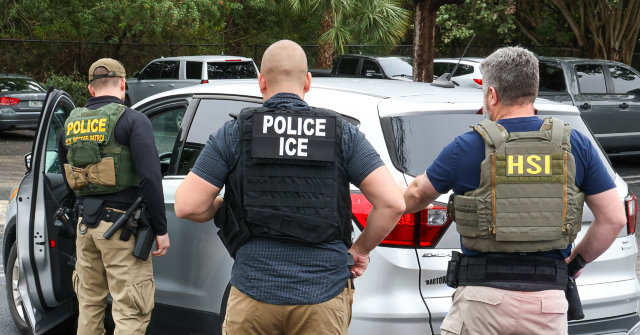 ICE Arrests 11 Illegal Alien Sex Offenders in Minneapolis Operation