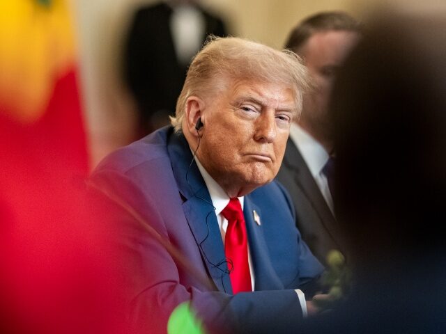 54644250281_bd205d1a9d_o President Donald Trump hosts a multilateral luncheon with African leaders, Wednesday, July