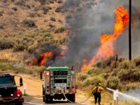 Air Quality Warnings Follow Madre Fire in California, Now the State’s Largest