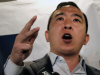 Andrew Yang Criticizes ‘Automatic’ Rifles After Semiautomatic Rifle Used in Manhattan A