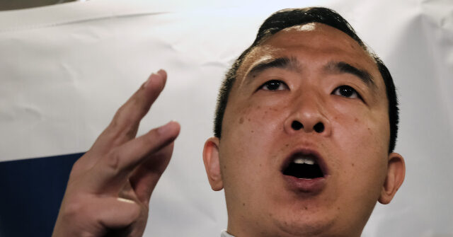 Andrew Yang Criticizes 'Automatic' Rifles After Manhattan Shooting