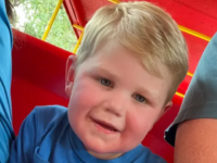 Georgia Toddler Fights to Survive 150 Yellow Jacket Stings