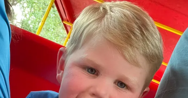 Georgia Toddler Fights to Survive 150 Yellow Jacket Stings
