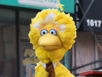 MSNBC Worries the Demise of Big Bird Could Send America’s Children Flocking to PragerU Kids