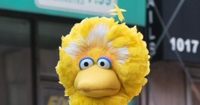 MSNBC Worries Demise of Big Bird Could Boost PragerU Children's Content