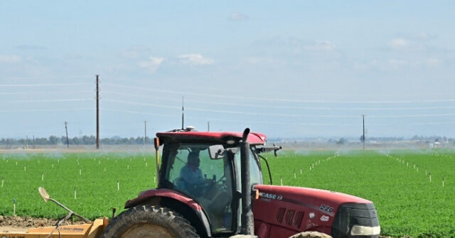 Brooke Rollins Announces 'Complete Reorganization' of USDA
