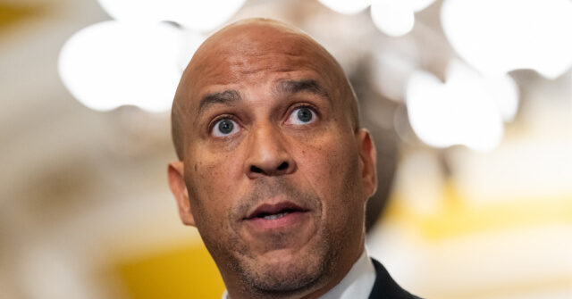 Cory Booker Lashes Out at Dems, Calls for Them to Get 'A Backbone'