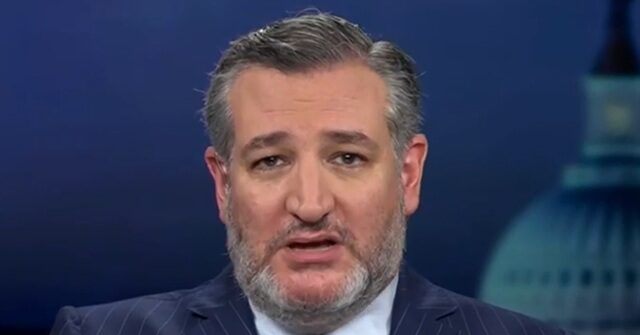 Cruz: Pritzker Is a 'Disgusting, Racist Bigot'