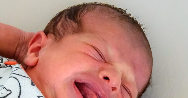 Nevada Mother Arrested After Newborn Found Crying in Dumpster