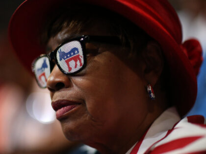 A delegate wears Democratic party donkey themed sunglasses during the Democratic National