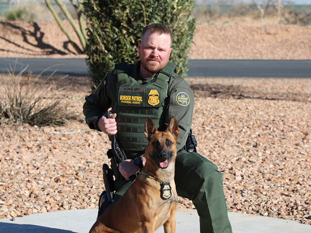 Lawyers for Transgender Cult Suspect in Border Patrol Killing Claim Trump Admin Fast-Tracking Death