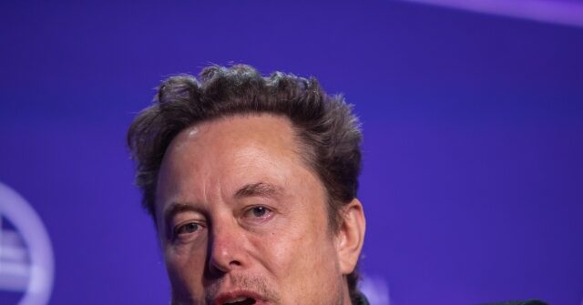Elon's Red Ink: Tesla Reports 16% EV Revenue Drop, Stock Dives 9%