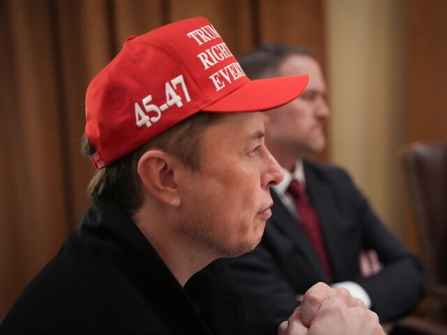 Elon Musk wearing a MAGA hat
