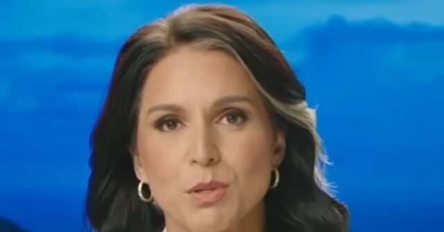 DNI Gabbard: Media 'Complicit' in Russia Collusion Hoax