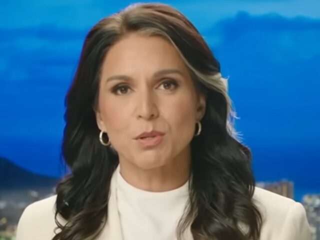 DNI Gabbard: Media ‘Complicit’ in Russia Collusion Hoax