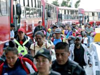 Exclusive Poll: Americans Firmly Oppose Amnesty for Illegal Aliens, Back Trump’s Deportation 