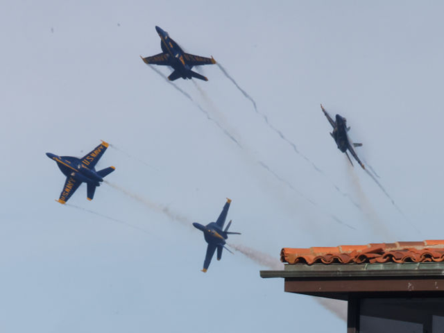 Lawsuit: Seattle ‘Cat Mom’ Claims Blue Angels Terrorized Her Dying Pet