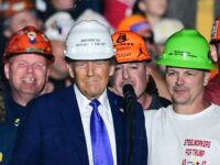 Labor Department: Native-Born Americans Account for 100% of Job Gains Under Donald Trump