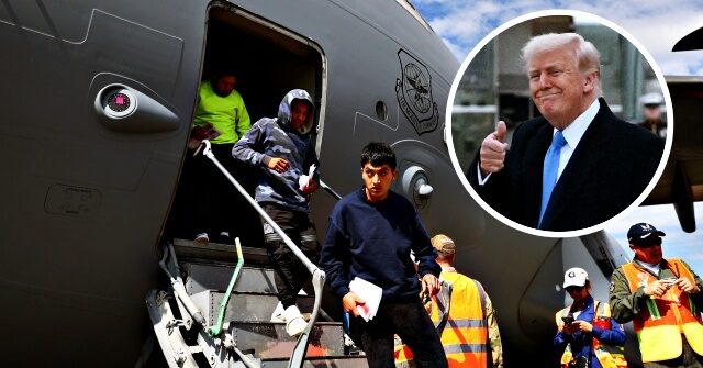 Democrats Panic: Trump's Big Beautiful Bill Will Deport More Illegal Aliens