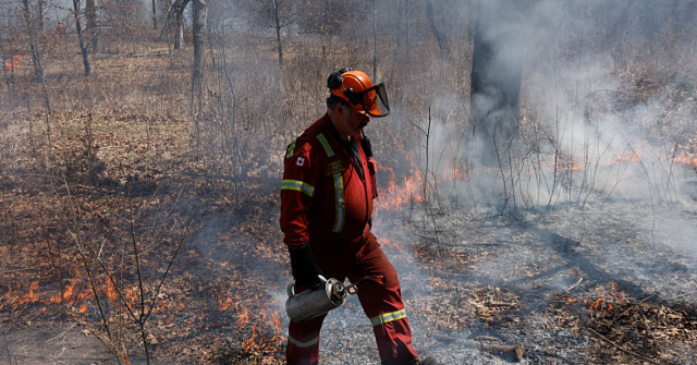 Republicans in Congress Ask Canada for Their Forest Management Plan as Wildfires Threaten Midwest Summer