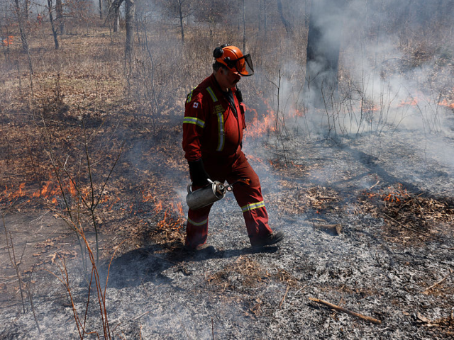 TORONTO, ON - April 17 - A member of the Lands & Forests Consulting burn team walks throug