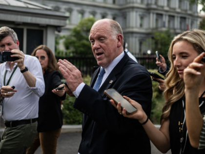 US White House 'border czar' Tom Homan speaks to the media outside the White House in Wash
