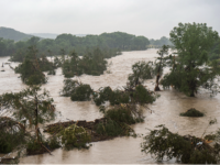 MIRACLE: Texas Man Saves Woman Found in Tree 20 Miles Downstream During Independence Day Flood