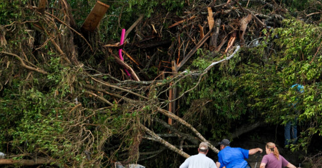 Flood Rescue Finds Two Girls Alive 30 Feet Up Texas Tree