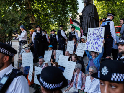 Dozens of ‘Palestine Action’ Supporters Arrested at London Demonstration