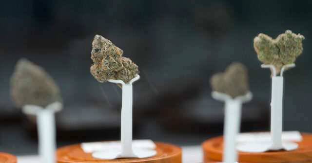 Texas Senate Approves Broad Hemp THC Criminalization Amid Statewide Voter Support