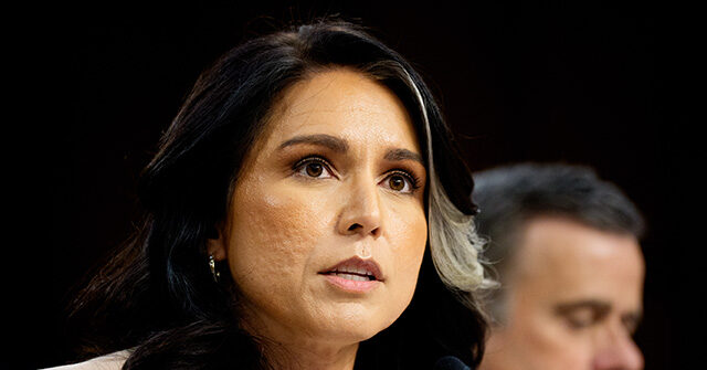 Tulsi Gabbard Declassifies Biden Admin Documents, Exposes Weaponization of Intelligence Against Americans