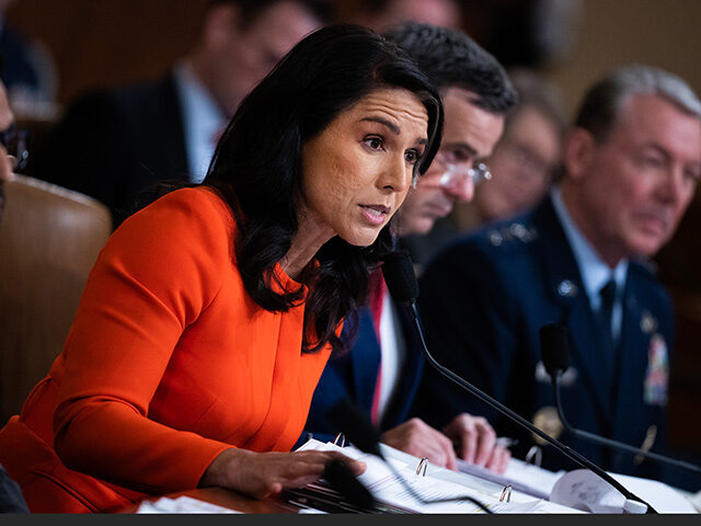 Tulsi Gabbard Accuses Washington Post Reporter of ‘Actively Harassing’ Her Staff