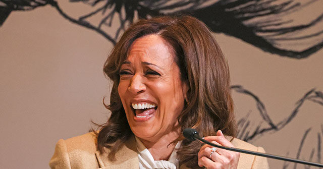 Kamala Harris Drops Cringe TikTok: 'Everyone Thinks You've Been Kicking Back, Drinking Margaritas on the Beach'