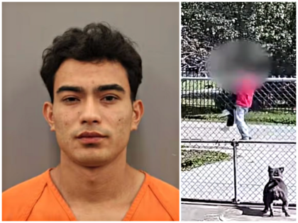 DHS: Biden, Mayorkas Used ‘Prosecutorial Discretion’ to Protect Illegal Alien Caught Dr