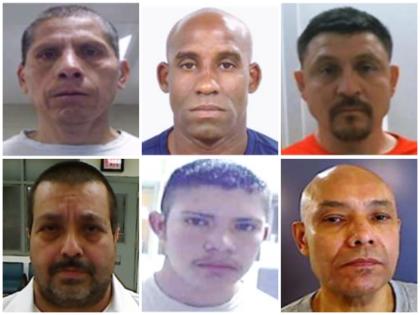 Immigration and Customs Enforcement