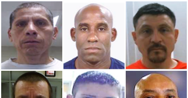 Report: ICE Arrests 30K Illegals in June, the Most in at Least Half a Decade