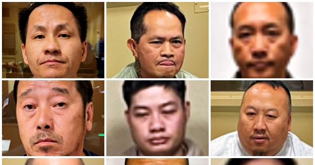 Exclusive: ICE Agents Arrest 11 Illegal Alien Sex Offenders in Minneapolis