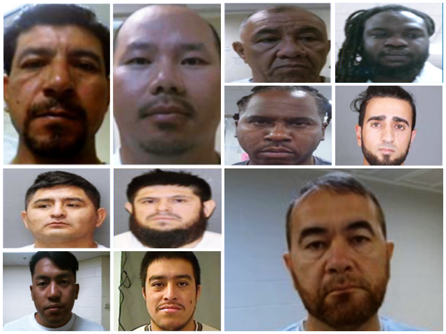 ICE Agents Arrest ‘Barbaric’ Illegal Aliens Convicted of Murder, Child Rape, Sexual Ass