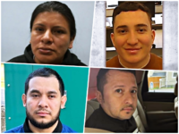 Trump’s DHS Oversees 400% Increase in Detainers for Criminal Illegal Aliens in Sanctuary New 